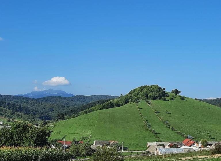 پانسیون Complex Dealu  Frumos