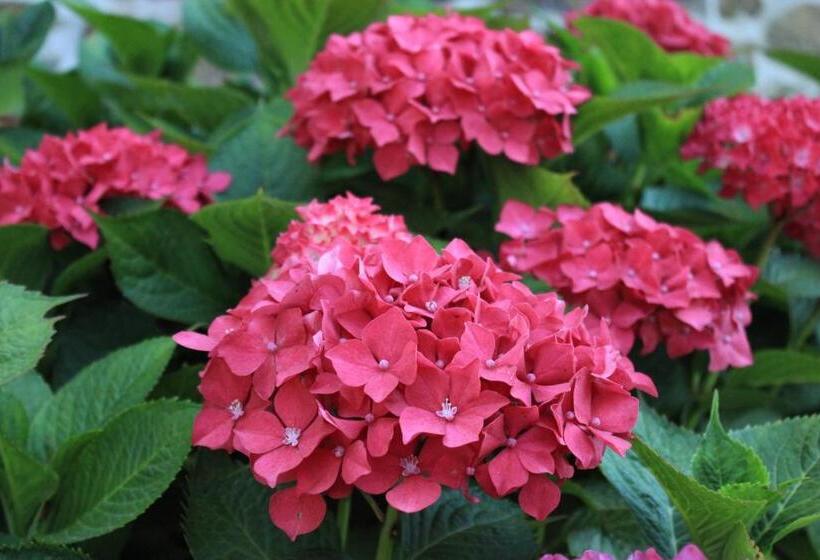 צימר Bretagne Chambre D Hôtes Suite 53m2 Et Caravane Vintage Avec Cuisine Et Salle De Bains Privées Britt