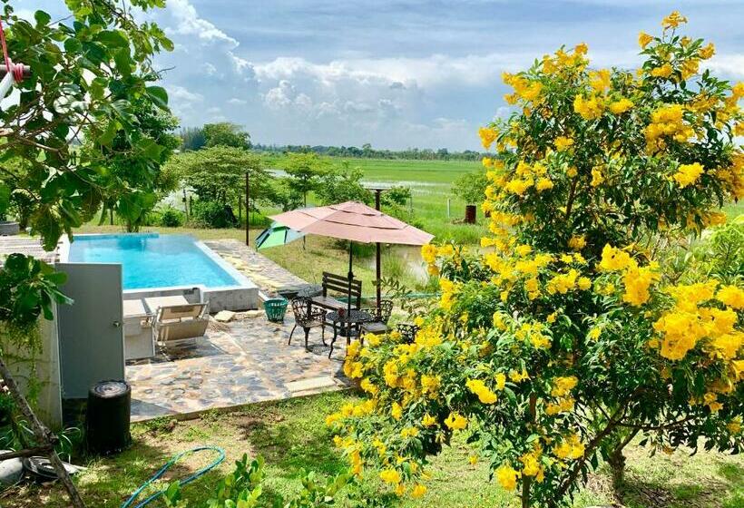 膳宿费 Rang Robin Farmstay With Swimming Pool