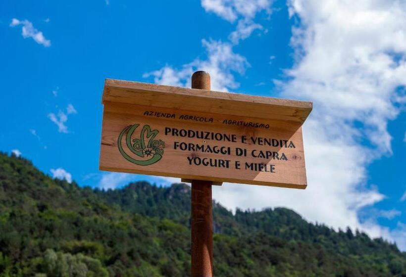 مبيت وإفطار Agriturismo La Meta