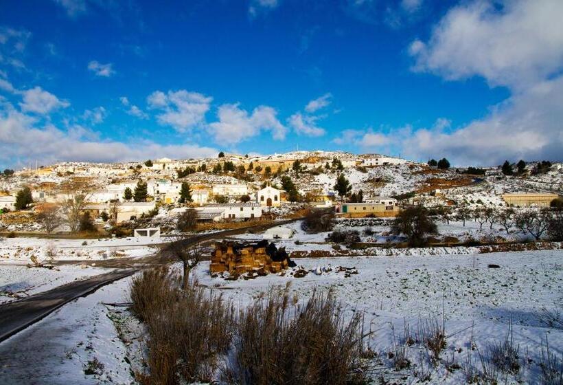 مبيت وإفطار Cueva Pura Vida