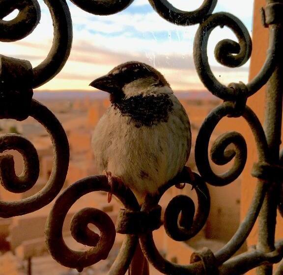 مبيت وإفطار Kasbah Oulad Othmane