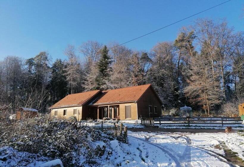 مبيت وإفطار Vosges Chambres D Hotes