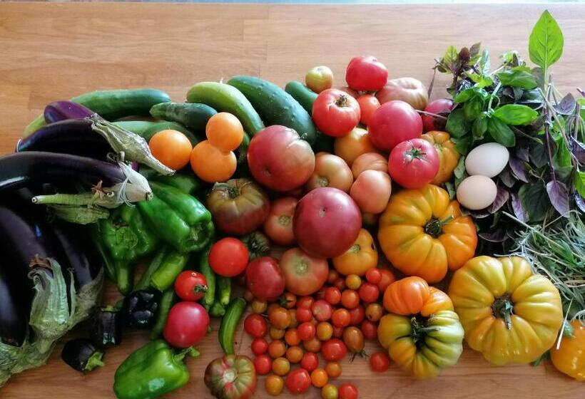 مبيت وإفطار Vosges Chambres D Hotes