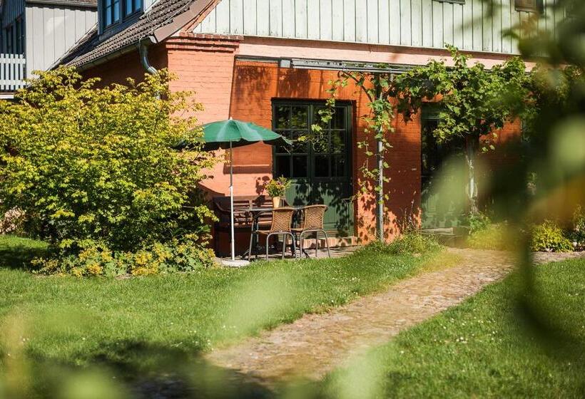 ホテル Das Gutshaus Solzow Mecklenburgische Seenplatte Müritz