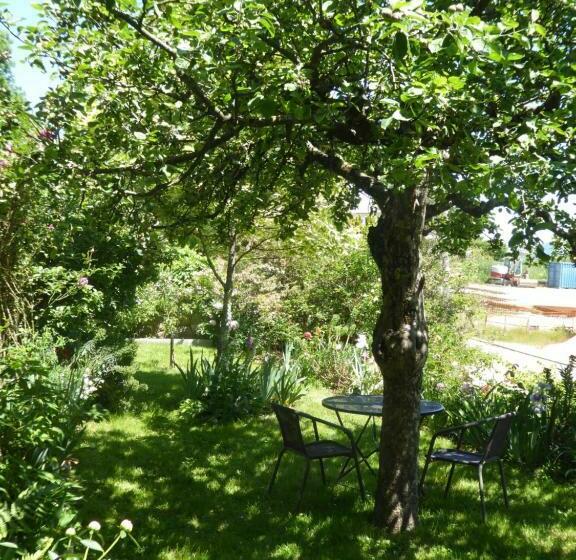 膳宿费 La Pomme De Pin