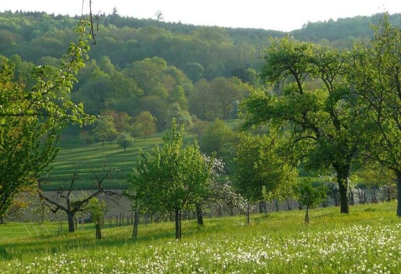 膳宿费 La Pomme De Pin