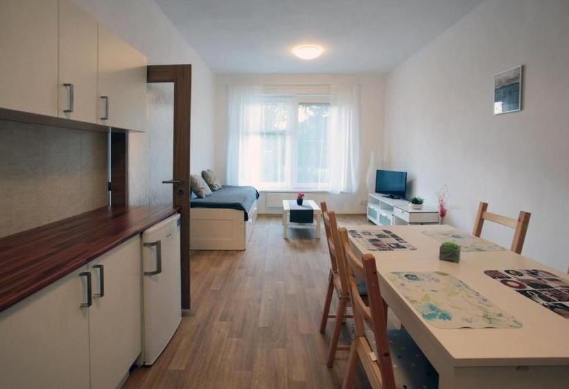 ペンション Penzion   Apartments Pod Javořicí