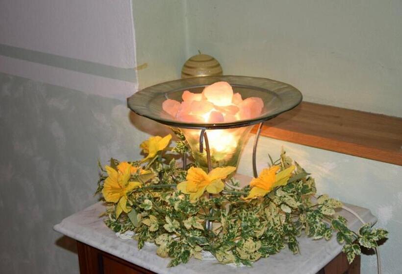 펜션 Rohrbacher Hof