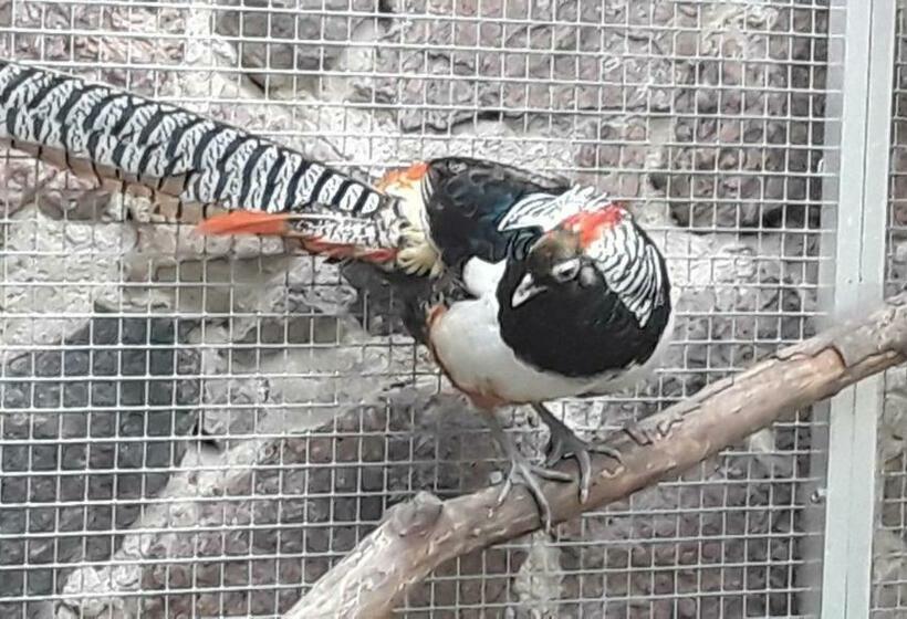 Pension Sommer Locktow