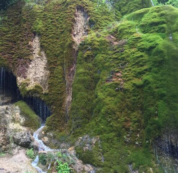 ベッドアンドブレックファースト Haus Kristal