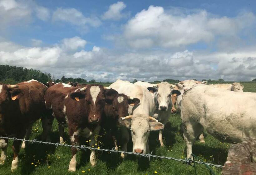 민박 La Corbonniere