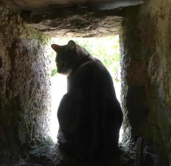 צימר Normandy Inn