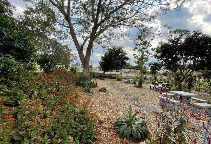هتل บ้านภัทร์จรัส น่าน   Baan Patjarad Nan