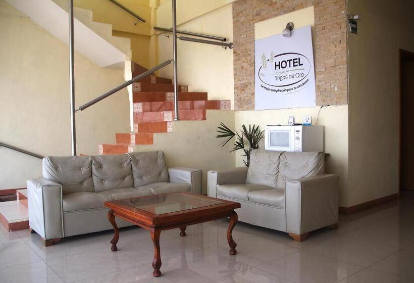 فندق Oyo  Trigos De Oro