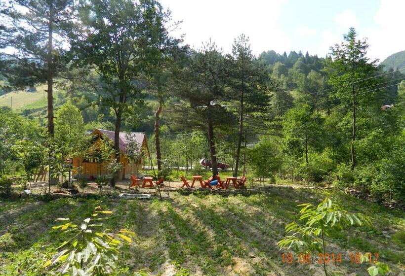 ホテル Yesilyayla Eko Turizm