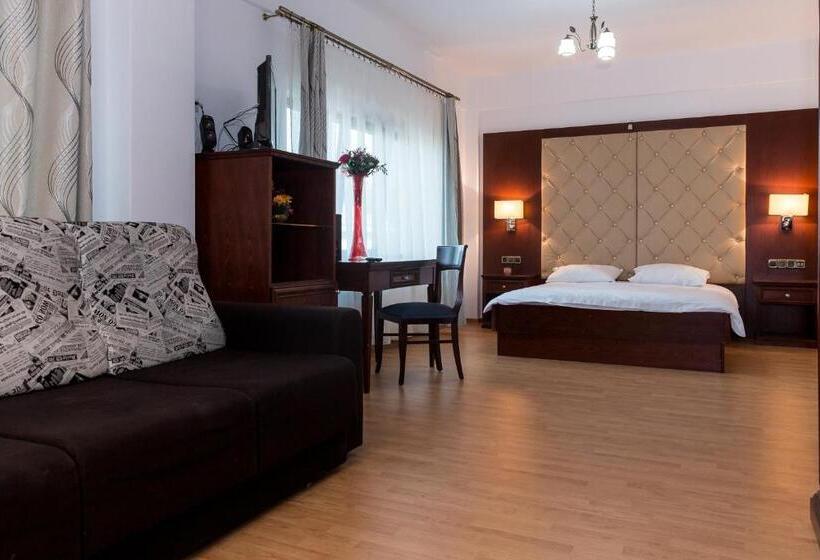 ペンション Enigma Bucovinei