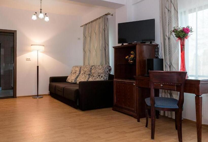 ペンション Enigma Bucovinei