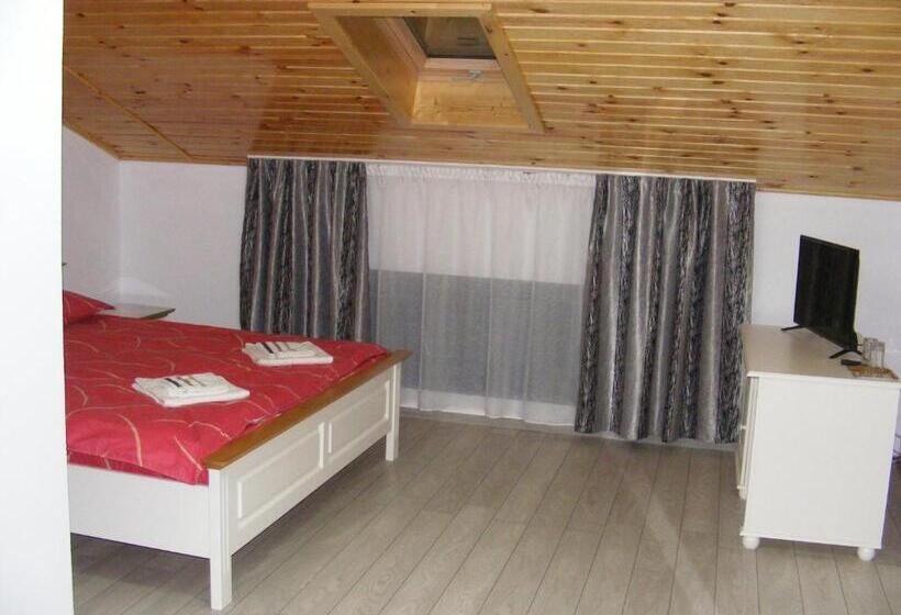 ペンション Enigma Bucovinei