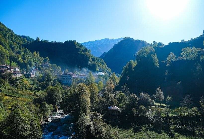 ペンション Hakoni House