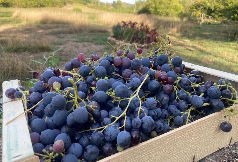 ペンション Les Deux Chevaux Chambres D’hôtes