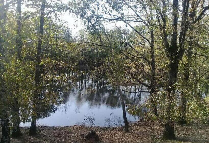 بنسيون Maison D Hôtes Abou Hachem