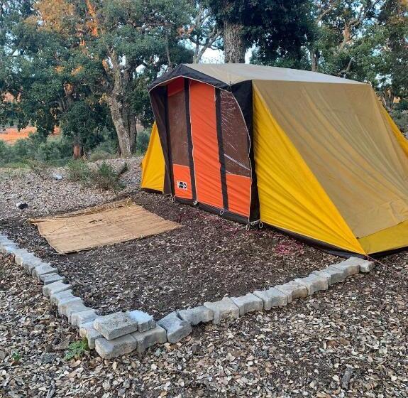 פנסיון Maison D Hôtes Abou Hachem