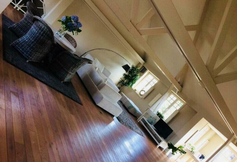 پانسیون The Loft