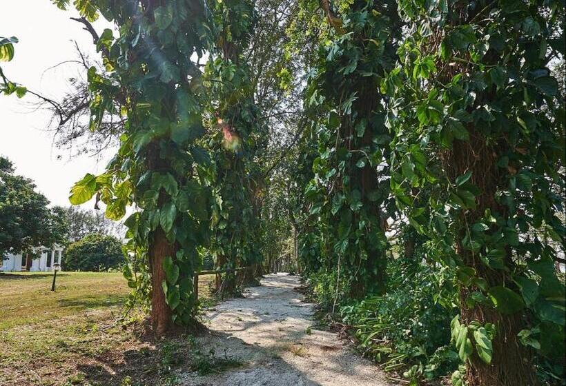 פנסיון The Sunbird Guesthouse