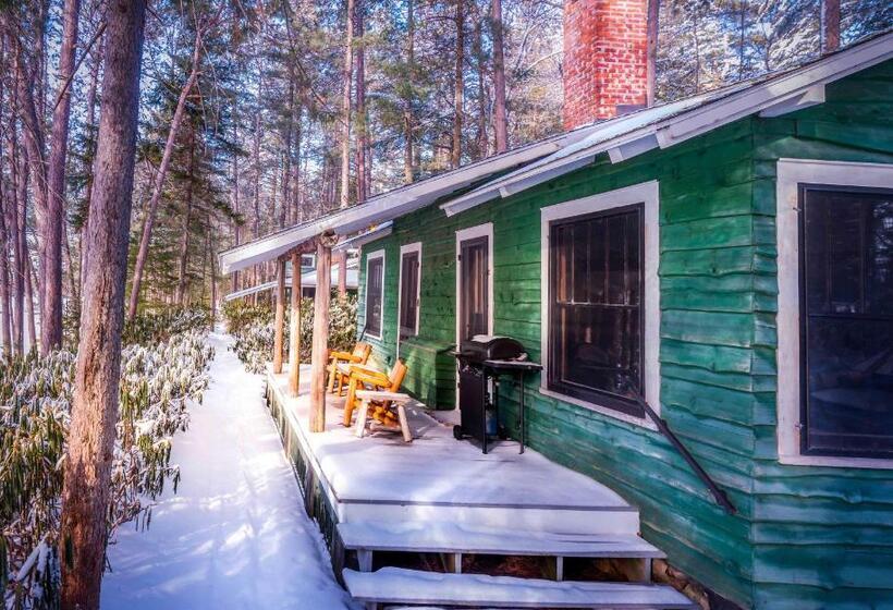 پانسیون White Pine Camp