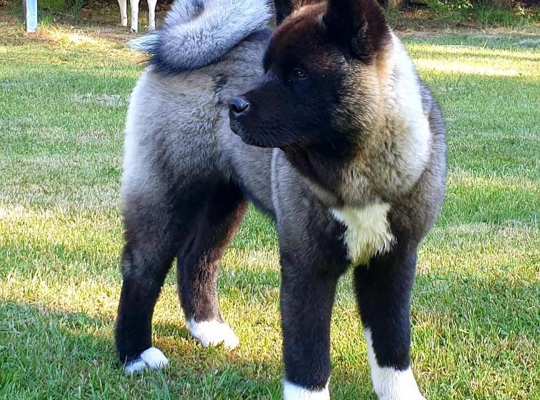 Pension Am Mellensee