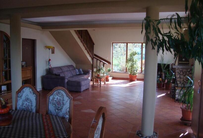 Vis Pension