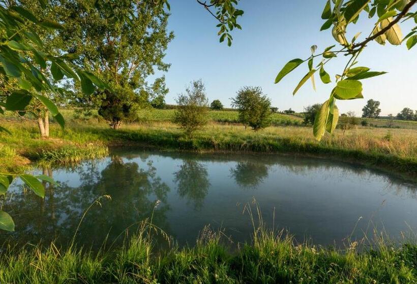 민박 Chambre D Hôte Près Bordeaux Au Château Camponac