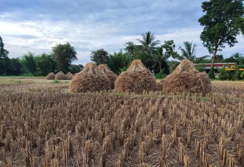 Пансион อุสาวิวรีสอร์ท