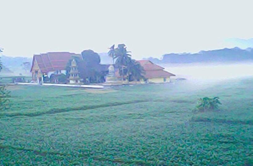 Пансион อุสาวิวรีสอร์ท