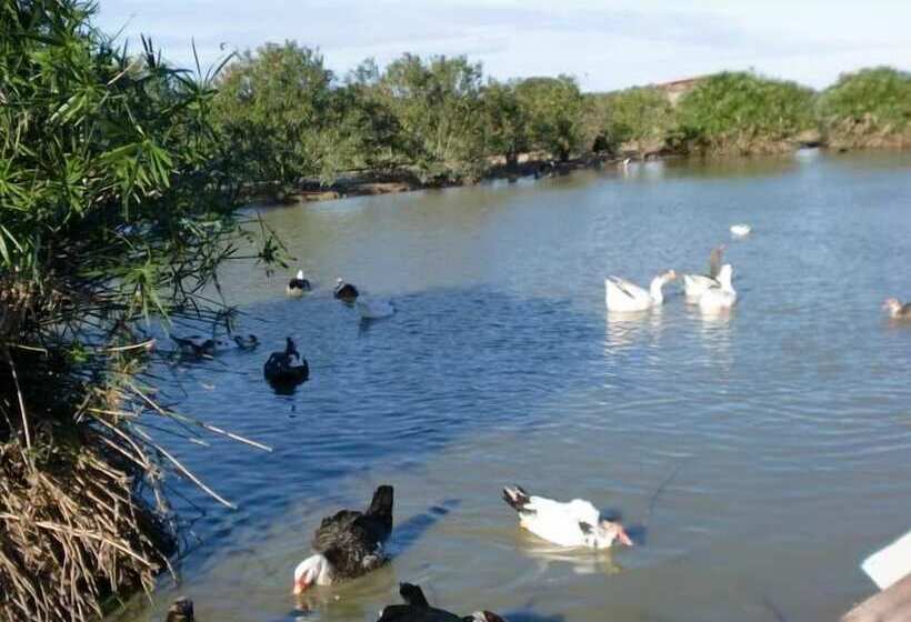 هتل Monte Da Chalaça
