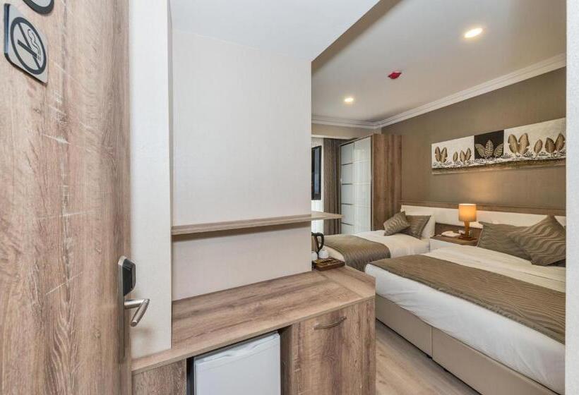 Fotos del hotel Alphonse:  19