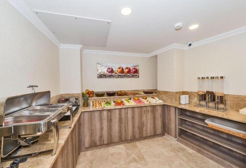 Fotos del hotel Alphonse:  24