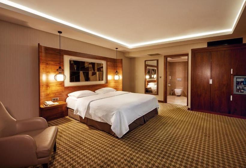 Hotel Anemon  Ankara