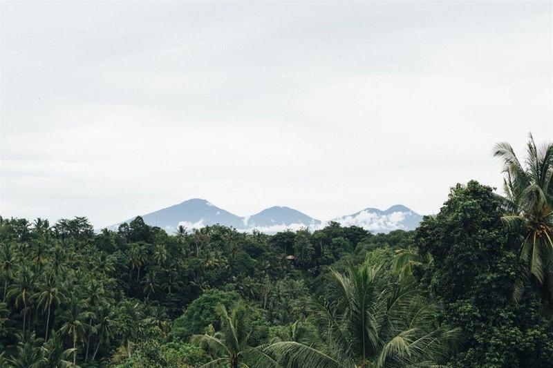 Fotos del hotel Bisma Eight:  18