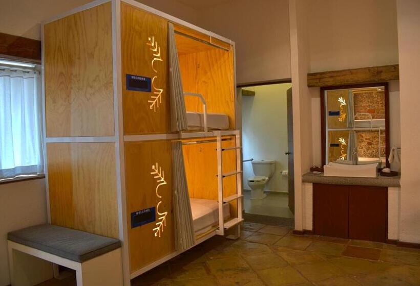 Fotos del hotel Descanseria Hotel Business And Pleasure:  33