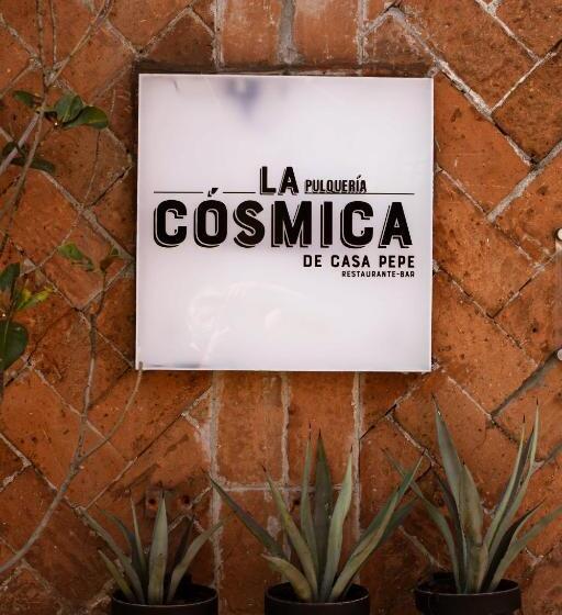 Fotos del hotel Descanseria Hotel Business And Pleasure:  22