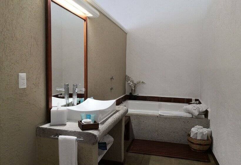 Fotos del hotel Descanseria Hotel Business And Pleasure:  13