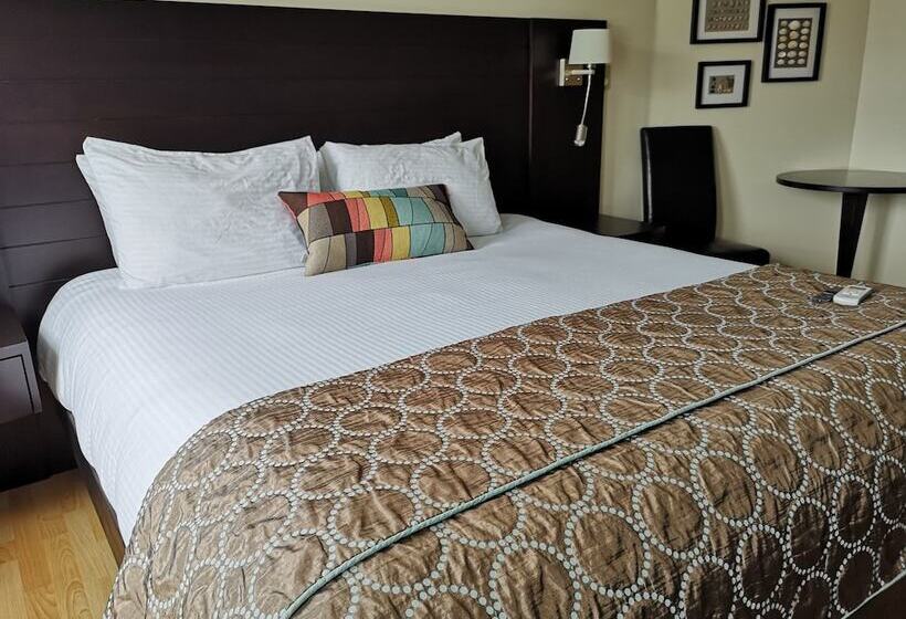 هتل Europa Inn