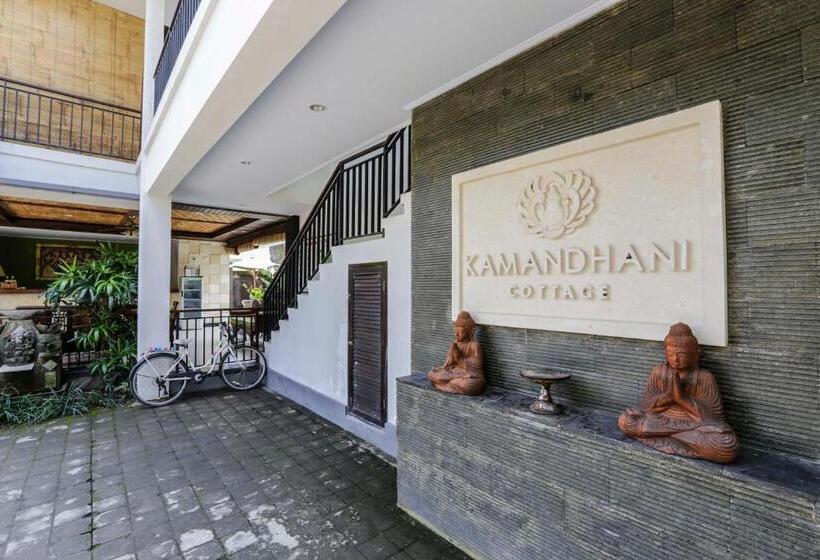 Fotos del hotel Kamandhani Cottage:  17