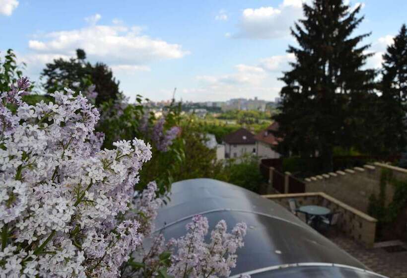 Fotos del hotel Pension Nika:  12