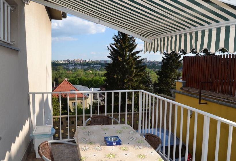 Fotos del hotel Pension Nika:  8