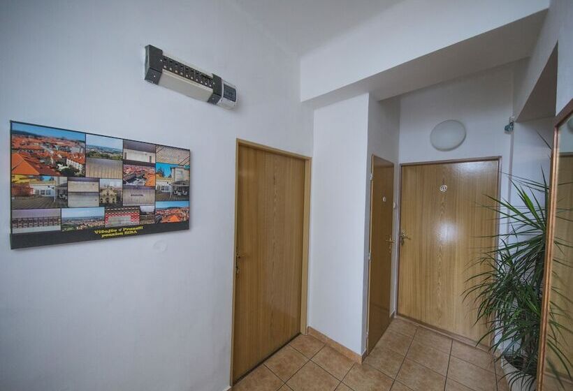 Fotos del hotel Pension Nika:  17