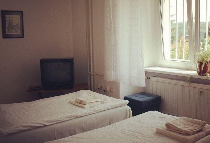 Fotos del hotel Pension Nika:  16