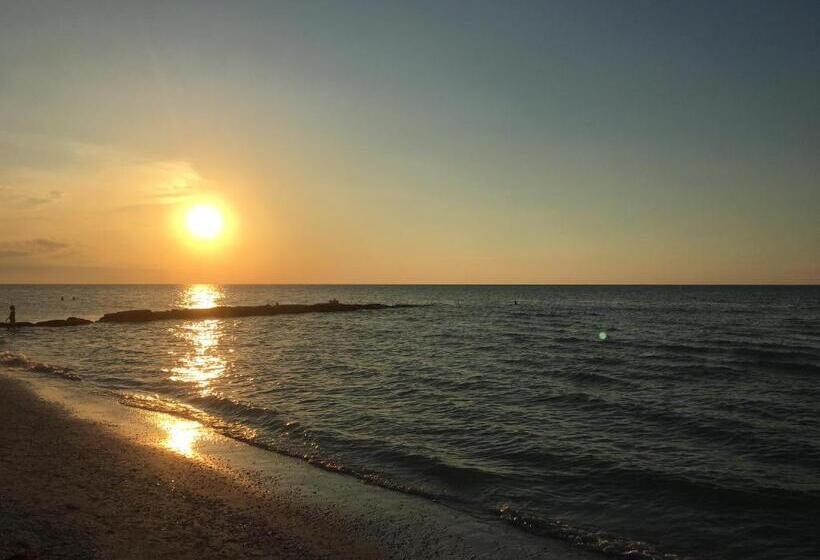 Fotos del hotel The St. Martin Boutique:  15